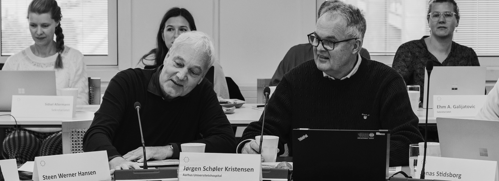 Billede Af Formænd Rådsmøde Til Slider Til Forsiden På Hjemmesiden Kopier