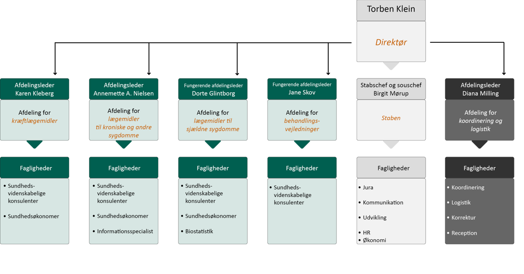 Medicinrådets organisationsdiagram