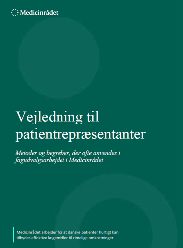 Billede af vejledning